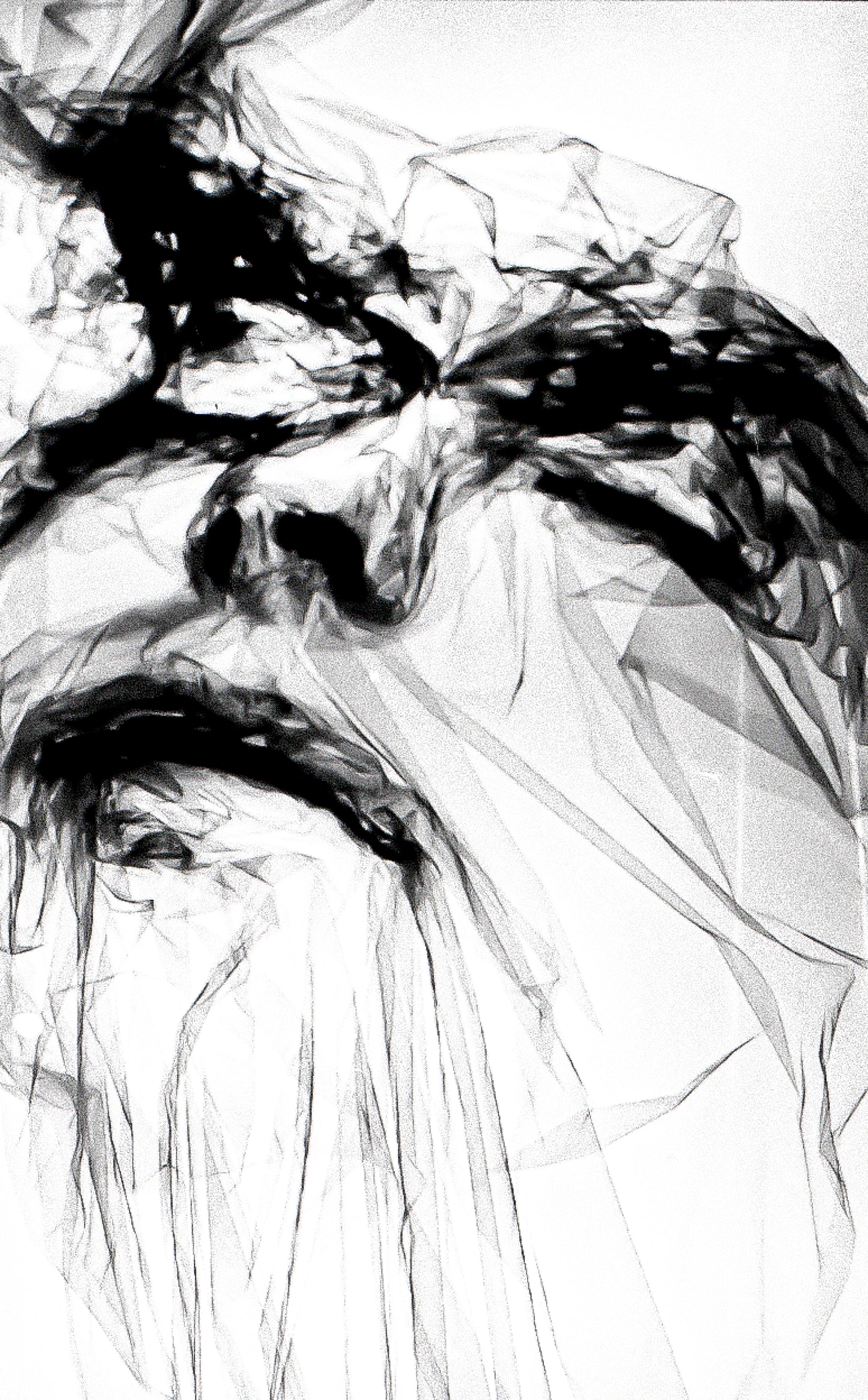 D76-Giclée-28
