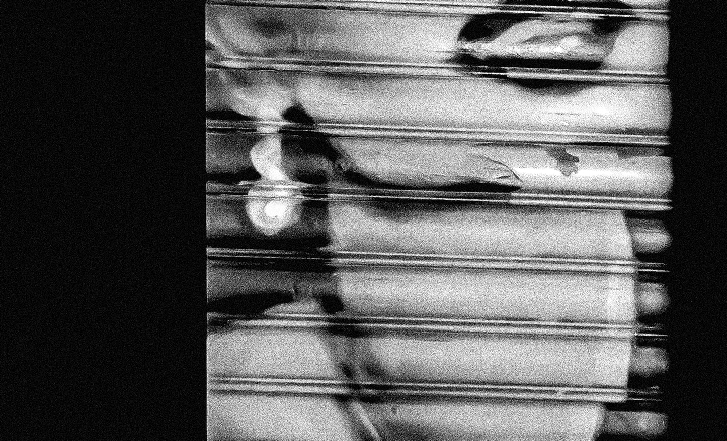 D76-Giclée-225