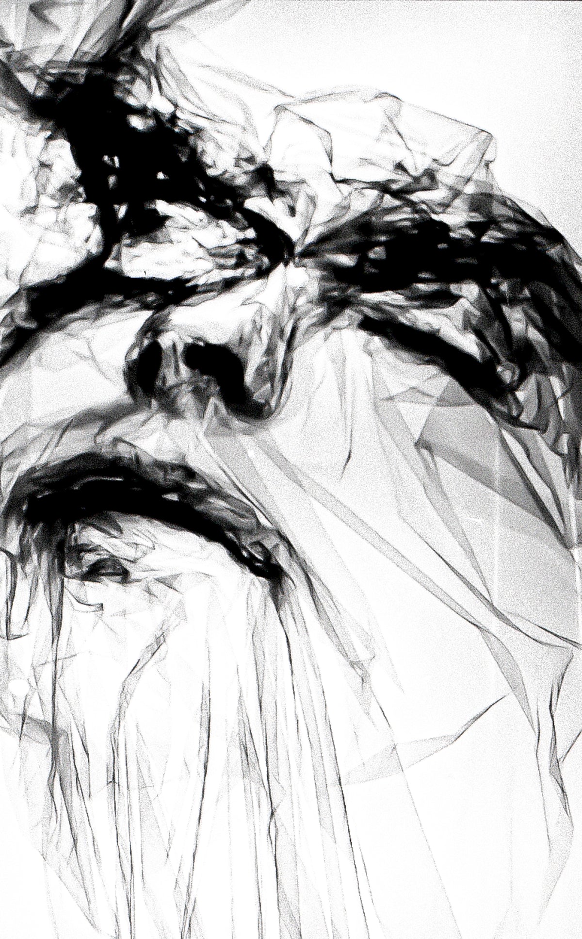 D76-Giclée-28
