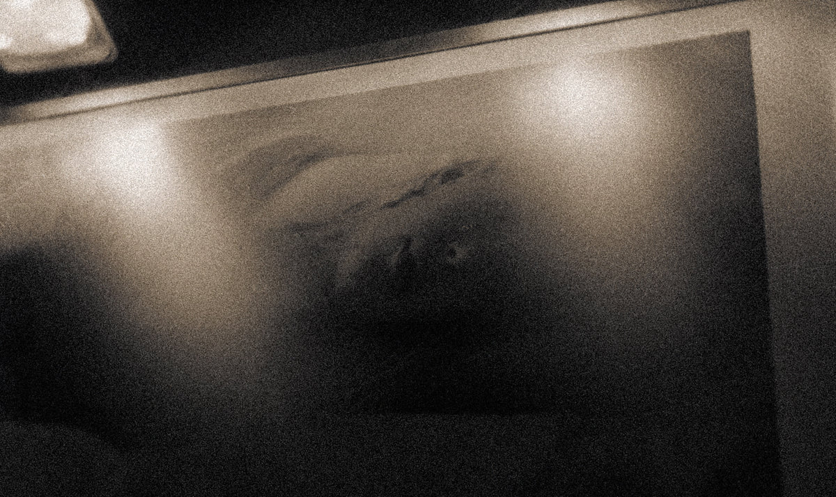 C41-Giclée-13
