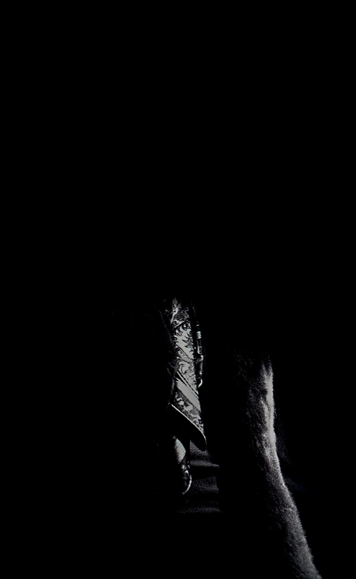 D76-Giclée-210