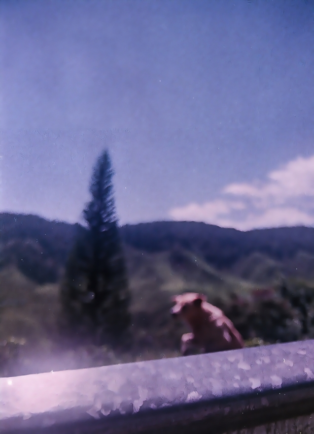 C41-Giclée-30